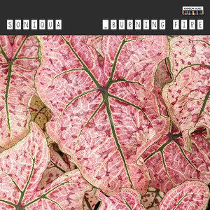 Friendly (Vocal mix)