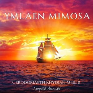 Rhyw Fath O Ryddid (feat. Nansi Rhys Adams)