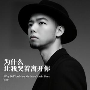 为什么让我哭着离开你