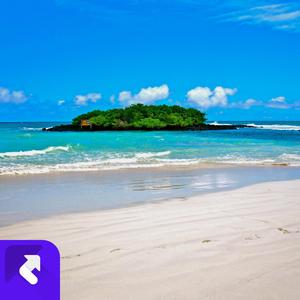 音乐创作之路 (现场)