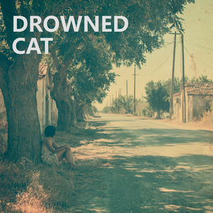 落汤鸡 (Drowned cat)