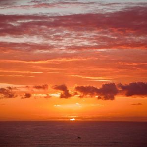 不再遥远的诗篇