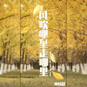 风吹哪里走哪里