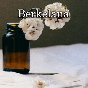 Berkelana