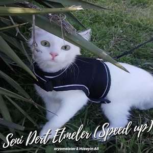 Seni Dert Etmeler (Speed Up)