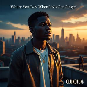 “Where You Dey When I No Get Ginger”