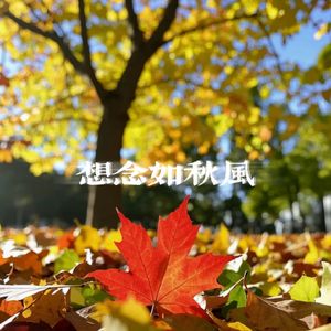 想念如秋风