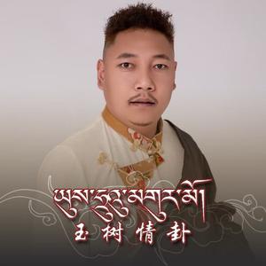 玉树情卦 Yushu Love Fortune