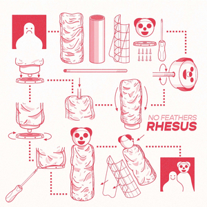 Rhesus