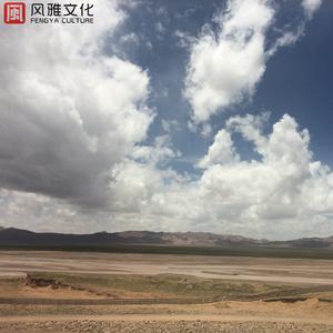 院子里慵懒的猫咪(钢琴)