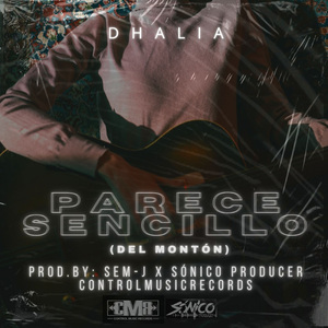 Parece Sencillo (Del Montón)