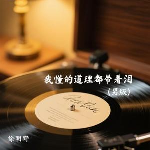 我懂的道理都带着泪(男版)