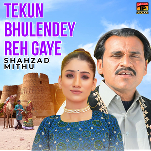 Tekun Bhulendey Reh Gaye