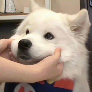 林越南精选progHouse音乐风格不得不爱晴天DJ咚鼓串烧