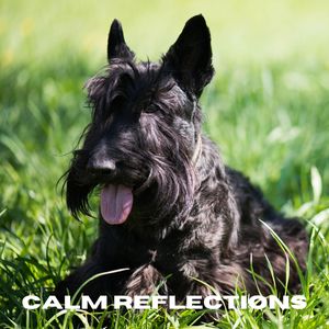 Still Waters (Loopable, No Fade)