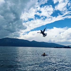 对你的偏爱明目张胆