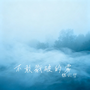 不敢戳破的雾