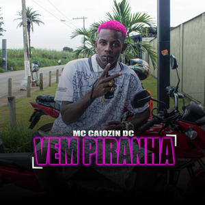 Vem Piranha (feat. Dj Waguim & Dj thiago fb)