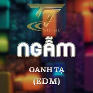 NGẪM (HM REMIX) (EDM REMIX)