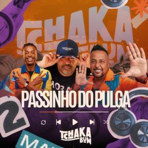 Passinho do Pulga
