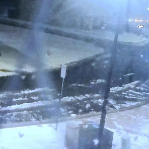 Its Whatever (Molly)