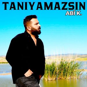 Tanıyamazsın