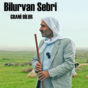 Bilur