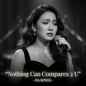 Nothing Can Compares 2 U
