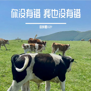 你没有错 我也没有错(prod.Veezy)