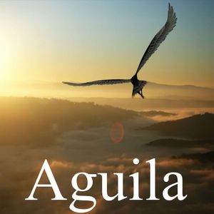 Aguila