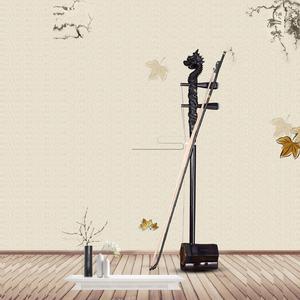 太湖美 (二胡独奏)