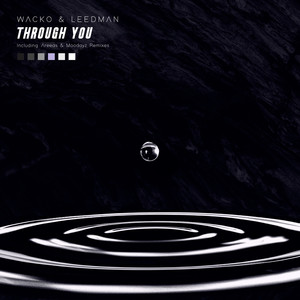 Through You (Areeas & Moodayz Remix)