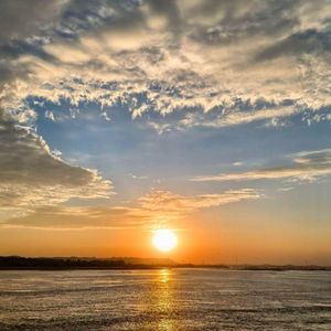 王唯旖 / 新诚觉一-无情画DJ（把爱藏入湫 remix）