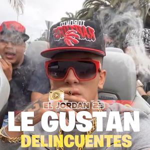 Le Gustan Delincuentes