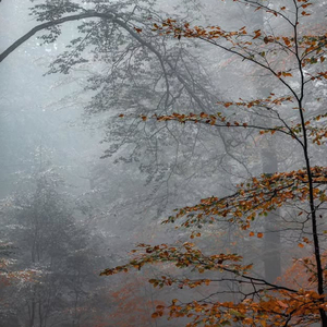 Jj Nyong Dari Timur Mashups, Vol. 2