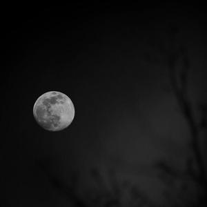 【FREE】“M i n g Y u e”