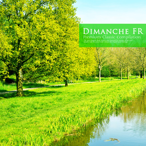 Strauss II: Leichtes Bult Op.319