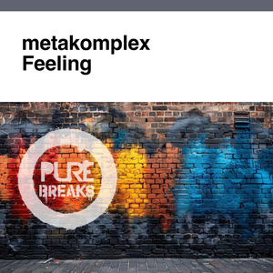 Feeling (Extended Mix)
