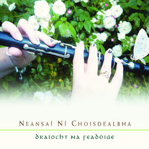 Jigs: Currants for Cakes, Raisins for Everything / Lark on the Strand