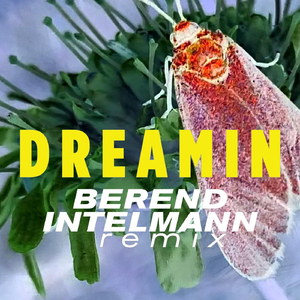 Dreamin (Berend Intelmann Remix)