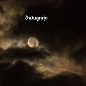 ข้ามันลูกทุ่ง