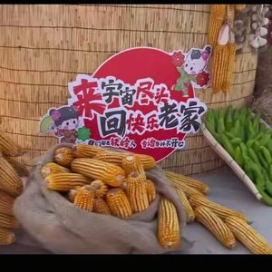 快乐到家了(铁岭文旅主题曲)