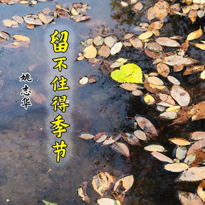 留不住的季节 (伴奏)