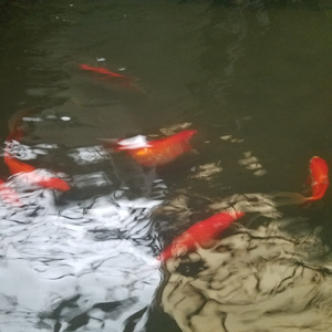 あなたの瞳に私は映ってますか