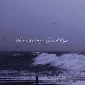 鲸落 WhaleFall（Demo）