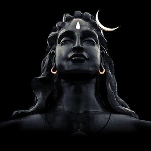 Nirvana shatakam - Shivoham shivoham - Adi shankaracharya