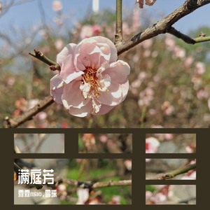 满庭芳（翻自 贺西格）