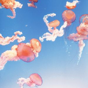 组成每一个节拍的心跳