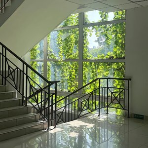 最后一排的草稿纸.wav