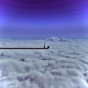 the half sky brother